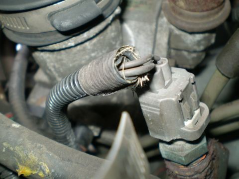 1996 Ford Bronco - A damaged wiring harness is visible in the engine bay, connected to a sensor.