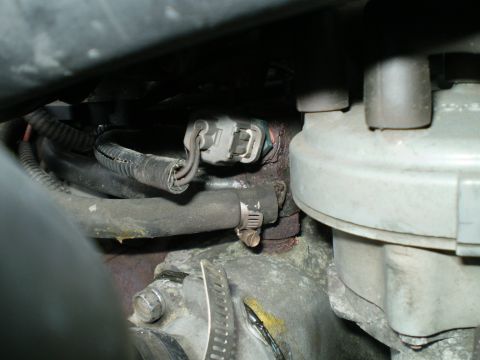 1996 Ford Bronco - Close-up view of engine parts, including hoses and connectors, with visible signs of age and use.
