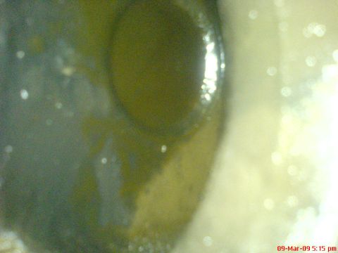 1992 Ford Crown Victoria - A close-up view of an engine component, likely related to EGR channels, showing oil buildup. The image includes a Supermotors watermark.