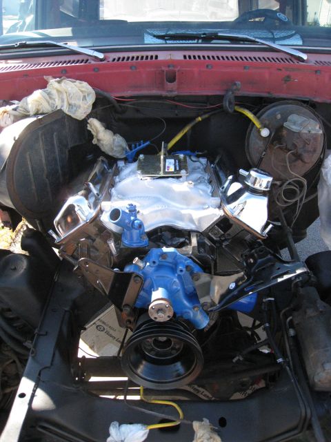 1979 Ford Bronco - Close-up of a V8 engine in an engine bay, blue painted components and chrome accents.