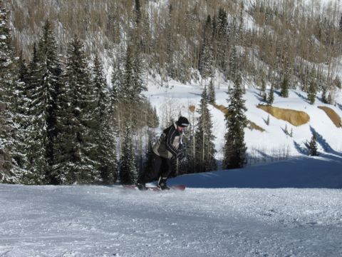 1992 Ford Bronco - A snowboarder carves down a groomed slope surrounded by snow-covered evergreen and deciduous trees.
