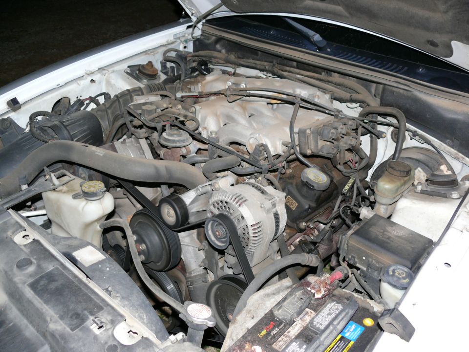 Engine bay with alternator, belts, and hoses visible. Battery in foreground