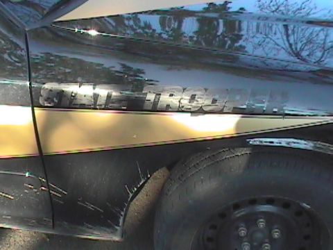 1998 Ford Crown Victoria - Car door showing "State Trooper" text and a gold stripe, with visible damage on the lower panel.