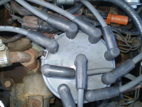 1982 Ford Bronco - Close-up of an engine's distributor cap, showing spark plug wires and a visible date code of '79'.