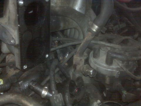 1995 Ford Bronco - A close-up view of a vehicle's engine bay, showing various hoses, wires, and engine components. The image is dimly lit and focuses on the i…