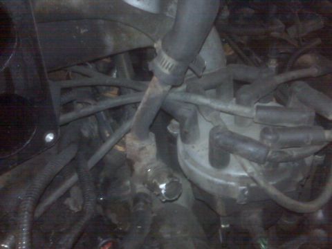 1995 Ford Bronco - A close-up view of a vehicle's engine bay shows a distributor cap with spark plug wires connected. Several hoses and other engine component…
