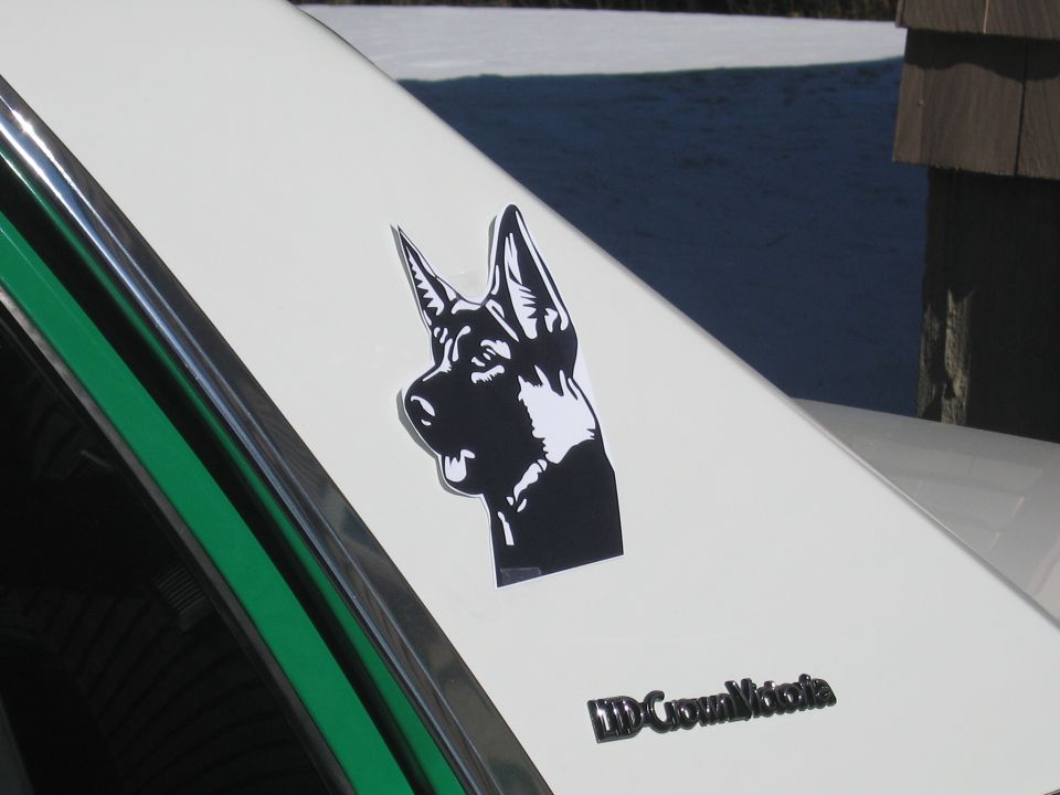 Close-up of a black German shepherd K-9 decal beside an LTD Crown Victoria nameplate
