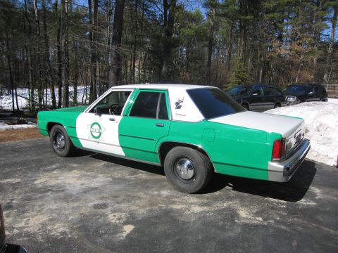1991 Ford LTD Crown Victoria - Rear driver-side three-quarter view of the green-and-white Ford Sheriff sedan parked on pavement amid snow and trees.