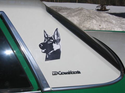 1991 Ford LTD Crown Victoria - black German shepherd K-9 decal and an LTD Crown Victoria nameplate on the white rear quarter pillar of a Ford sedan.