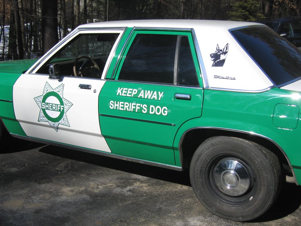 Driver side of green-and-white SHERIFF sedan with K9 warning and dog graphic