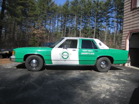 1991 Ford LTD Crown Victoria - Full driver-side profile of a green-and-white SHERIFF sedan with door star badge and K9 warning decal, parked on a driveway beside trees.