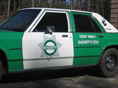1991 Ford LTD Crown Victoria - Side close-up of a green-and-white SHERIFF sedan showing the star badge on the door, spotlight and KEEP AWAY SHERIFF'S DOG decal.