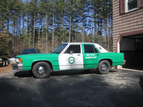 1991 Ford LTD Crown Victoria - Driver-side profile of a green-and-white SHERIFF sedan with star badge and K9 warning decal, parked on a paved driveway by bare trees.