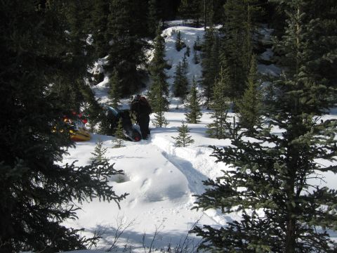 1999 Arctic Cat Powder Special 600 EFI “Pickle”