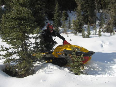 1999 Arctic Cat Powder Special 600 EFI “Pickle”