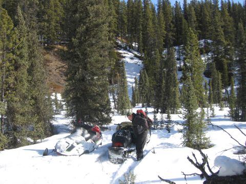 1999 Arctic Cat Powder Special 600 EFI “Pickle”