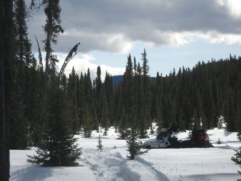 1999 Arctic Cat Powder Special 600 EFI “Pickle”