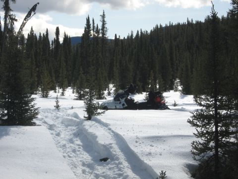 1999 Arctic Cat Powder Special 600 EFI “Pickle”