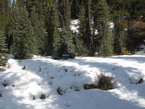 1999 Arctic Cat Powder Special 600 EFI “Pickle”