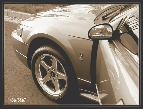 2001 Ford Mustang - A 2001 Ford Mustang Cobra is shown from the front quarter angle, with a reflection of another vehicle in the side mirror.