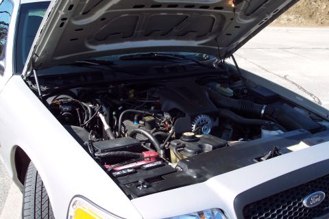 2001 Ford Crown Victoria - The open hood of a white 2001 Ford Crown Victoria reveals its engine bay. The engine is clean and appears to be in good condition.