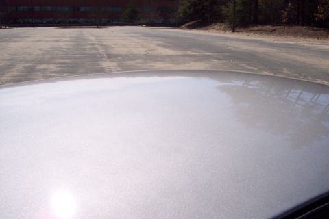 2001 Ford Crown Victoria - The metallic silver paint on this car's roof reflects the surrounding environment, including a parking lot and trees.