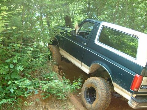 1993 Ford Bronco - This 1993 Ford Bronco navigates a challenging dirt path surrounded by dense foliage.