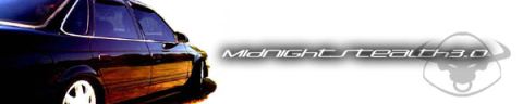 1993 Ford Taurus - Side profile of a dark sedan with custom text graphics overlayed on the image.
