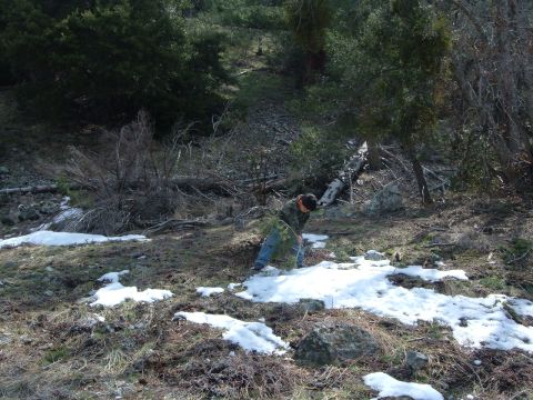 1988 Ford Bronco - A person is cutting a small tree in a snowy, wooded area. The scene appears to be in a mountainous region.