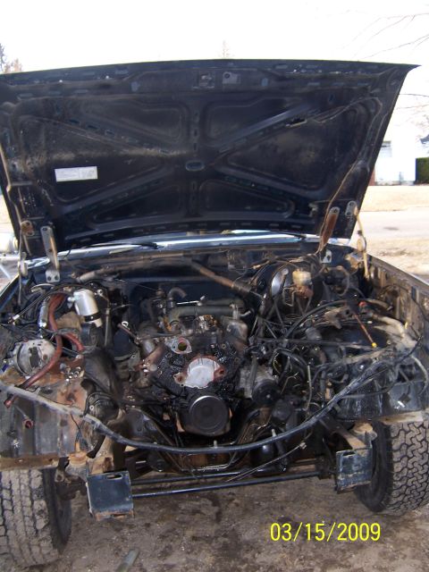 1990 Ford Bronco “eddie”