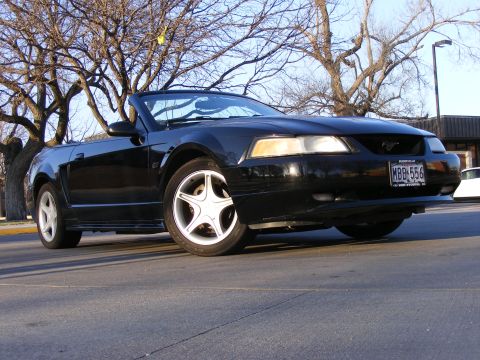 2000 Ford Mustang photo