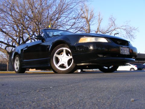 2000 Ford Mustang photo