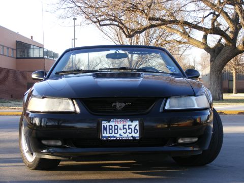 2000 Ford Mustang photo