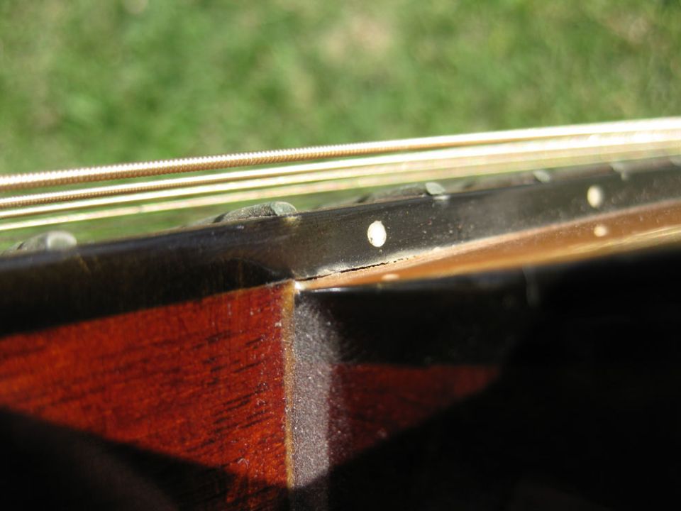 Close-up of a guitar fretboard with strings and frets.