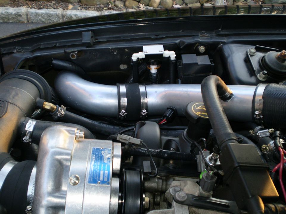 Close-up of a supercharged Ford Mustang engine with polished aluminum parts.