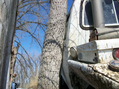 1992 Ford F-350