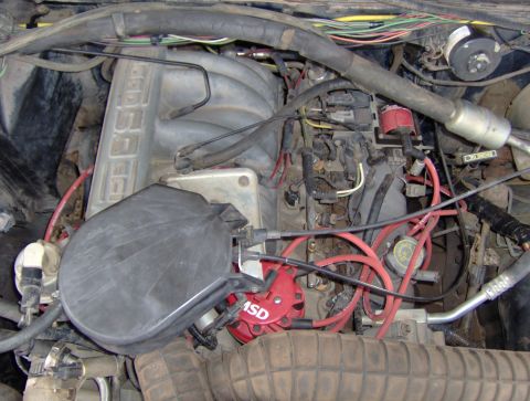 1984 Ford Bronco - new to me efi 5.8, had about 180k on it.