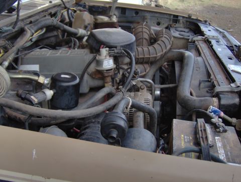 1984 Ford Bronco - Looks like it should be there!