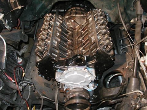 1994 Ford Bronco - Sittin pretty , hopefully will be running by this time tomarrow