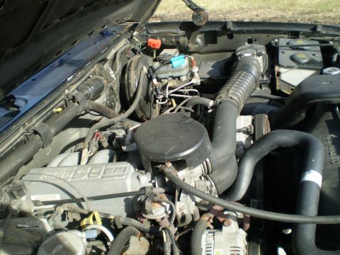 1996 Ford Bronco - The engine bay of a 1996 Ford Bronco is shown, with the hood open. Various engine components, hoses, and wiring are visible.