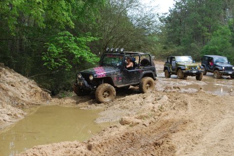2008 Jeep Wrangler - A black Jeep Wrangler with pink graphics drives through a muddy trail with other Jeeps behind it.