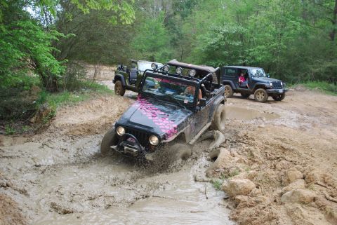 2008 Jeep Wrangler - A black Jeep Wrangler with pink graphics on the hood navigates a deep mud pit on a wooded trail. Two other Jeeps, one green and one dark bl…