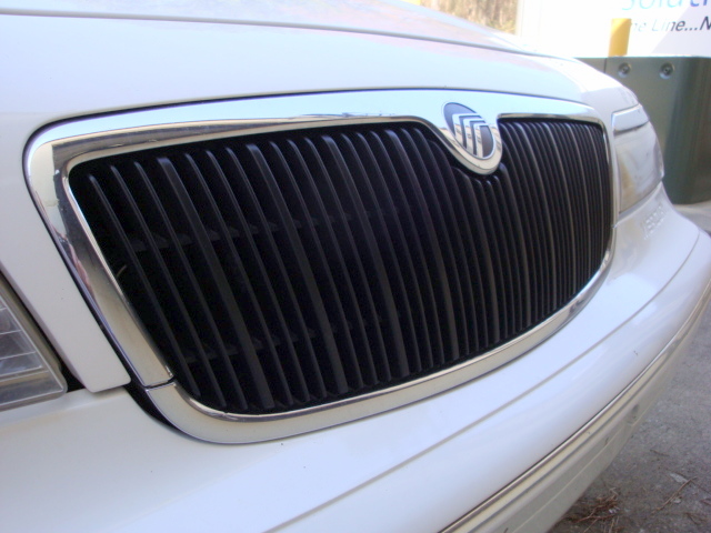 Grille March 2009
