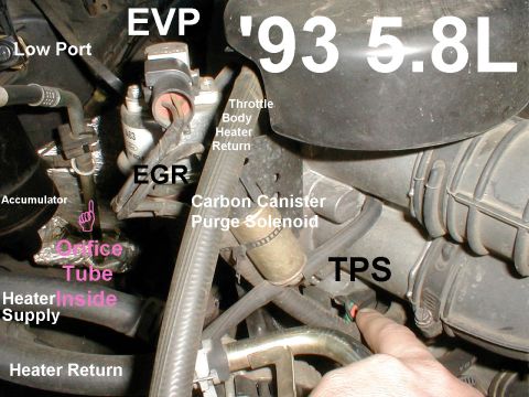 1983 Ford Bronco - V8 Throttle Body Components The CANP solenoid should have 30-38 Ohms resistance. See also: [url=https://www.supermotors.net/registry/media/…