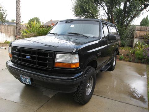1986 Ford Bronco - A black Ford Bronco is parked on a wet concrete driveway in front of a wooden fence and some landscaping. The vehicle has a license plate t…