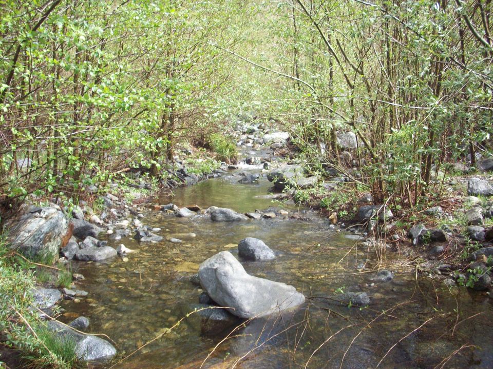 Creek flowing through rocky terrain with trees and foliage on the banks. Watermark reads SUPERMOTORS
