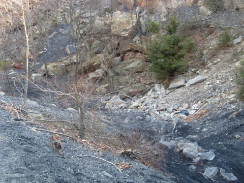 1987 Ford Bronco - An animal is seen on a rocky, debris-strewn slope.