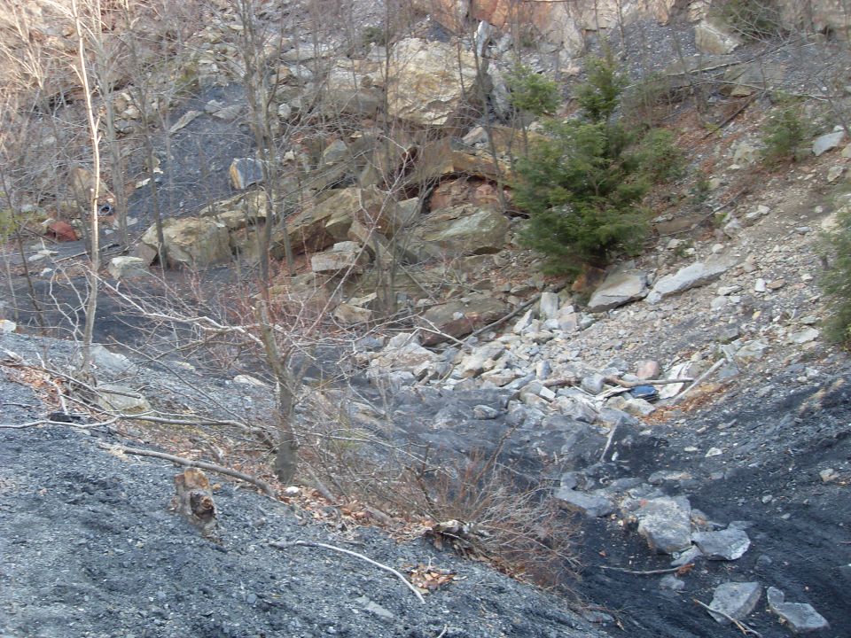 Brown and black animal on a rocky slope