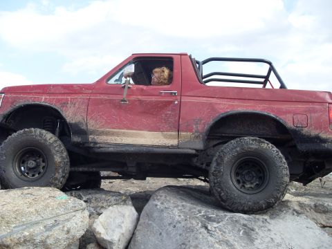 1987 Ford Bronco photo