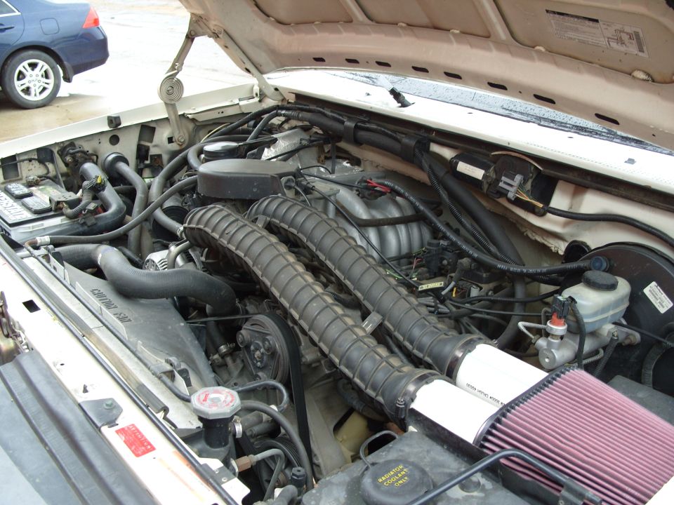 Engine bay of white Ford with V8, ribbed intake tubes, and aftermarket cone air filter